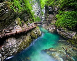 Join us on a group shuttle from Bled to Vintgar gorge, Slovenia