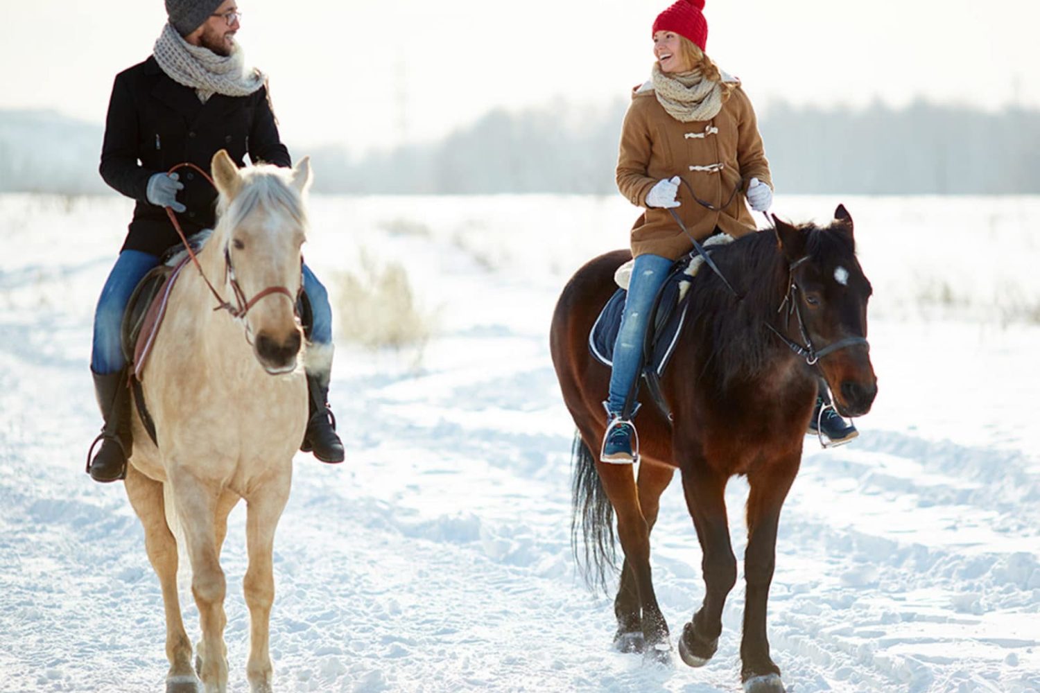 Winter horse riding in Slovenija